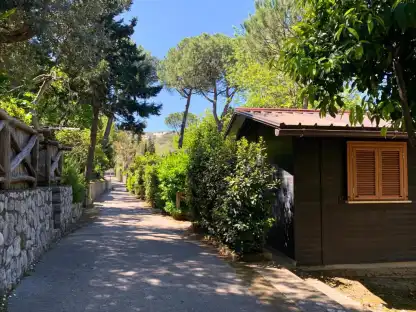 Place Image